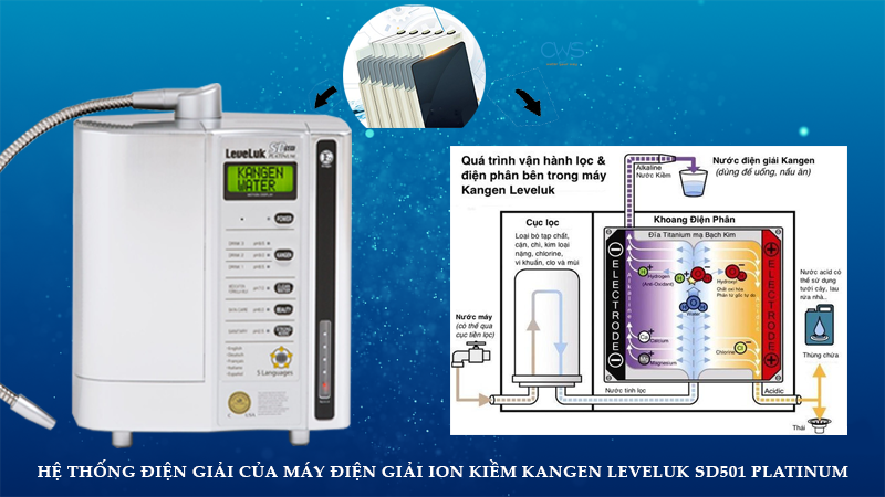 Kangen Leveluk SD501 Platinum