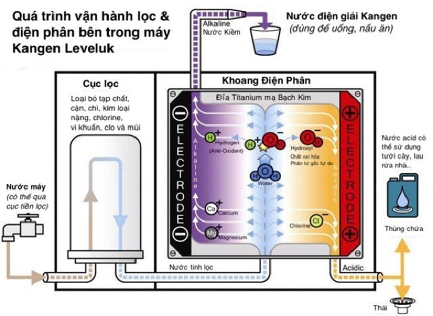 Kangen Leveluk Super 501