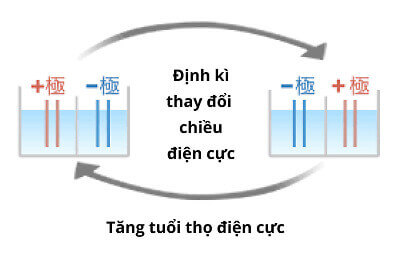 Trim Ion Grace