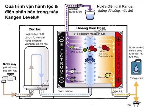 Lõi lọc Leveluk F8