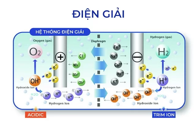 Trim Ion Neo